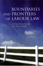 BOUNDARIES AND FRONTIERS OF LABOUR LAW