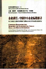 企业责任  中国中小企业标准探寻  以上海富大集团为例兼与国际企业责任标准比较研究  英文版