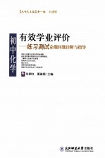 有效学业评价  初中化学练习测试命题问题诊断与指导