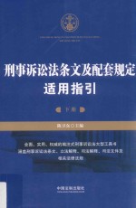 刑事诉讼法条文及配套规定适用指引  下