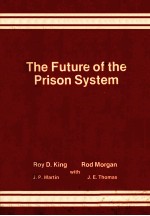 The future of the prison system