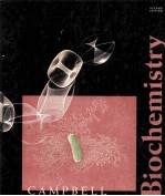 BIOCHEMISTRY  SECOND EDITION