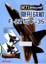 隐形战机  F-22与F-35