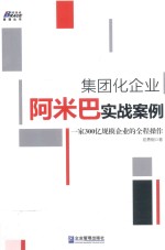 集团化企业阿米巴实战案例  一家300亿规模企业的全程操作