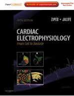 CARDIAC ELECTROPHYSIOLOGY FROM CELL TO BEDSIDE