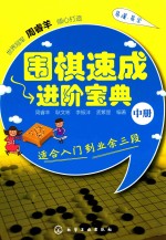 围棋速成进阶宝典  中