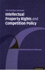 The interface between intellectual property rights and competition policy