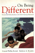 On being different : diversity and multiculturalism in the North American mainstream