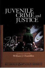 JUVENILE CRIME AND JUSTICE