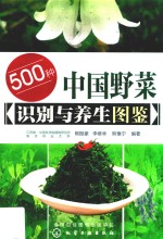 500种中国野菜识别与养生图鉴