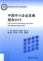 中国中小企业发展报告=China's small-medium enterprises development report