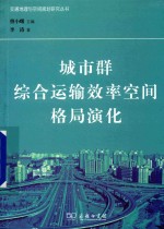 交通地理与空间规划研究丛书  城市群综合运输效率空间格局演化