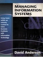 Management information systems : using cases within an industry context to solve business problems w