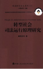 转型社会司法运行原理研究