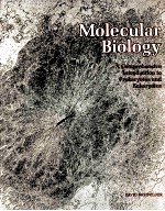 MOLECULAR BIOLOGY：A COMPREHENSIVE INTRODUCTION TO PROKARYOTES AND EUKARYOTES