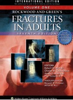 ROCKWOOD AND GREEN'S FRACTURES IN ADULTS VOLUME 1 SEVENTH EDITION