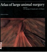 Atlas of Large Animal Surgery