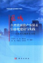 区域自然资源资产负债表信息化建设与实践  以深圳大鹏新区为例