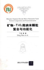 矿物  TiO2微纳米颗粒复合与功能化