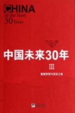 中国未来30年  3  重塑梦想与现实之维