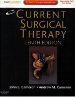 CURRENT SURGICAL THERAPY TENTH EDITION