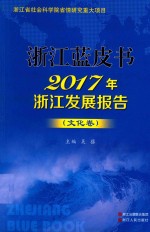 2017年浙江发展报告  文化卷