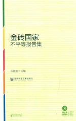 金砖国家不平等报告集