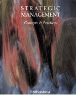 Strategic management concepts and practices