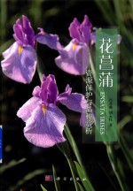 花菖蒲  资源保护与品种赏析