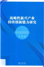 战略性新兴产业持续创新能力研究