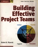 Building effective project teams