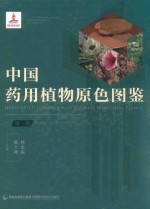 中国药用植物原色图鉴  第1册