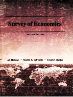 Survey of economics second edition