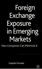 Foreign exchange exposure in emerging markets how companies can minimize it