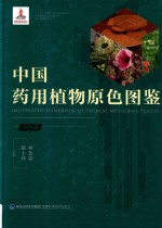 中国药用植物原色图鉴  第4册