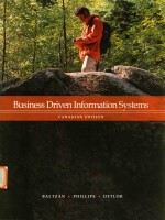 Business driven information systems