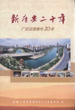 广安市政协文史资料  第16辑  新广安二十年  广安设地建市20年