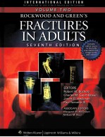 ROCKWOOD AND GREEN'S FRACTURES IN ADULTS VOLUME 2 SEVENTH EDITION