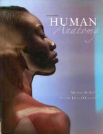 Human anatomy second edition