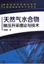 天然气水合物降压开采理论与技术