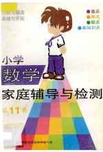 小学数学家庭辅导与检测  第11册