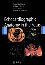 ECHOCARDIOGRAPHIC ANATOMY IN THE FETUS