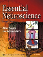 ESSENTIAL NEUROSCIENCE SECOND EDITION