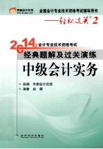 2014年会计专业技术资格考试经典题解及过关演练  中级会计实务