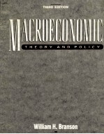 Macroeconomic theory and policy third edition