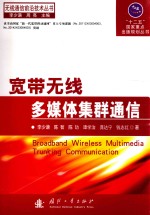 无线通信前沿技术丛书“十二五”国家重点出版规划丛书  宽带无线多媒体集群通信