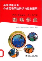 县级供电企业作业现场风险辨识与控制图解  配电作业