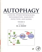 AUTOPHAGY CANCER