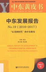 皮书系列  中东黄皮书  中东发展报告  No.19  2016-2017版