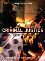 Criminal justice ethics